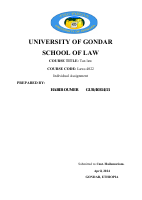 TAX individual assignment of Habib Oumer.pdf